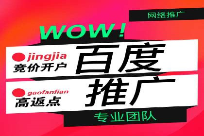 百度信息流广告推广案例：揭秘高ROI的秘密